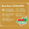 Fortune Rice Bran Oil