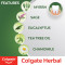 Colgate Herbal Toothpaste