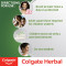 Colgate Herbal Toothpaste