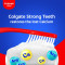Colgate Strong Teeth Anticavity Toothpaste